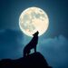 night sky with a glowing full moon and the silhouette of a howling wolf in front of it